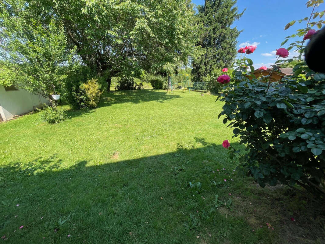 IMG_3712 - Maison à OLORON-SAINTE-MARIE