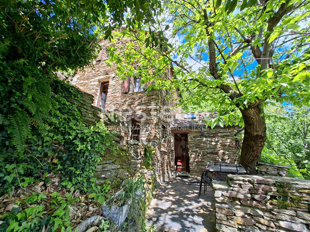 Maison à SAINT-FREZAL-DE-VENTALON