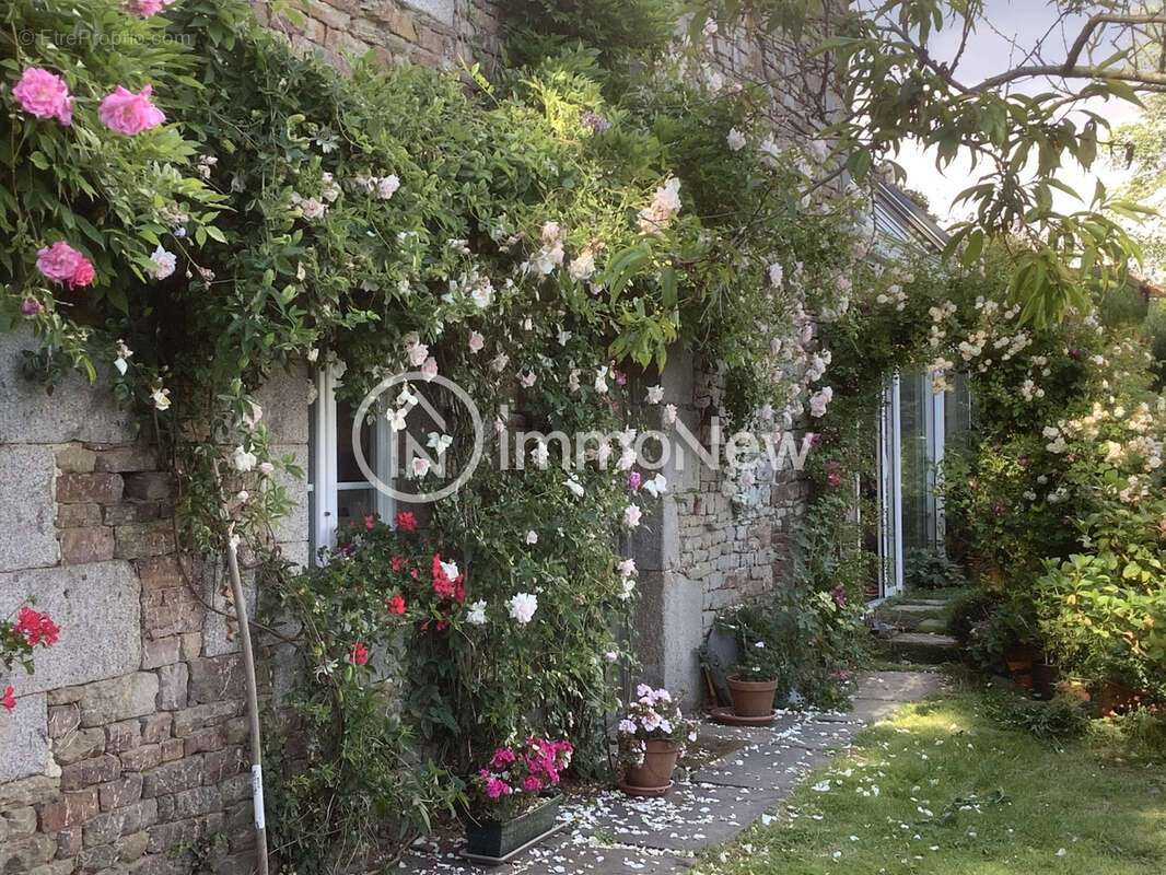 Maison à HOCQUIGNY