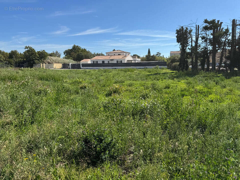 Terrain à VACQUEYRAS