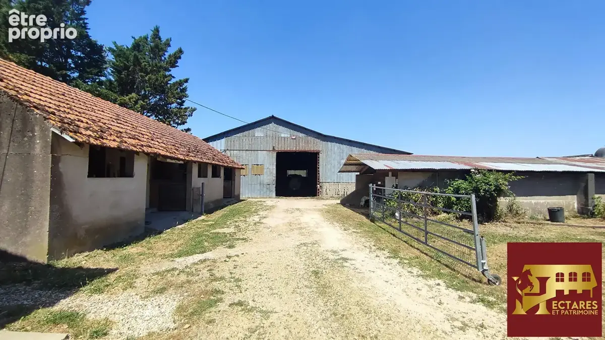 Propriété équestre 2,3 hectares - photo 9