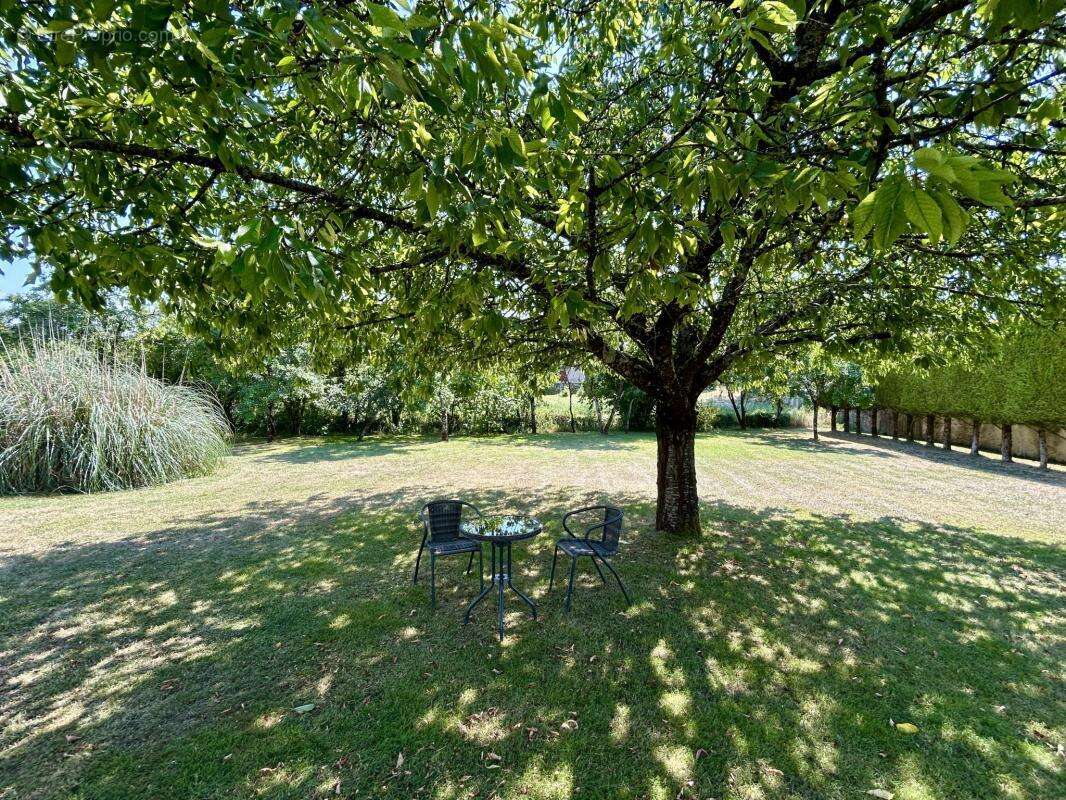 Élégante Demeure de Caractère avec Jardin et Dépendances - photo 22