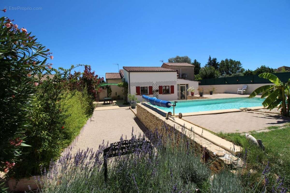 Maison Aubignan avec 2 petits gîtes et piscine - photo 3