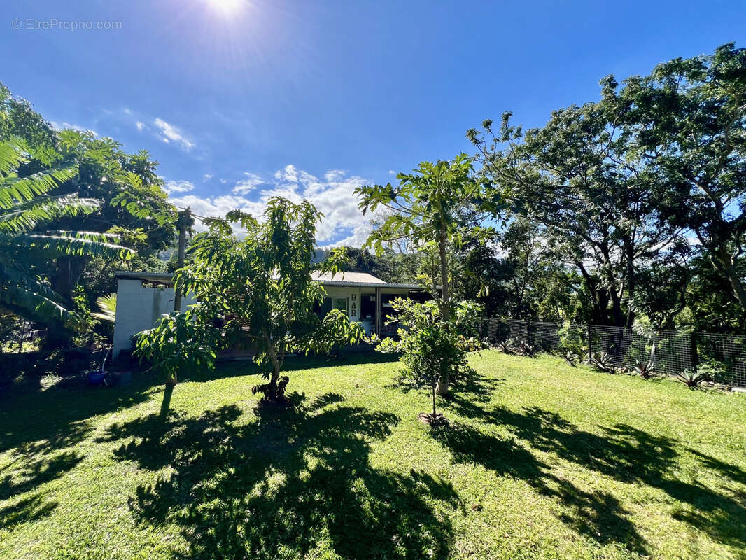 Maison à SAINT-JOSEPH