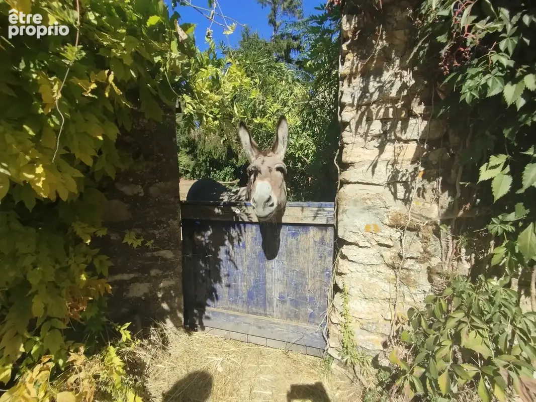 Maison atypique - photo 7