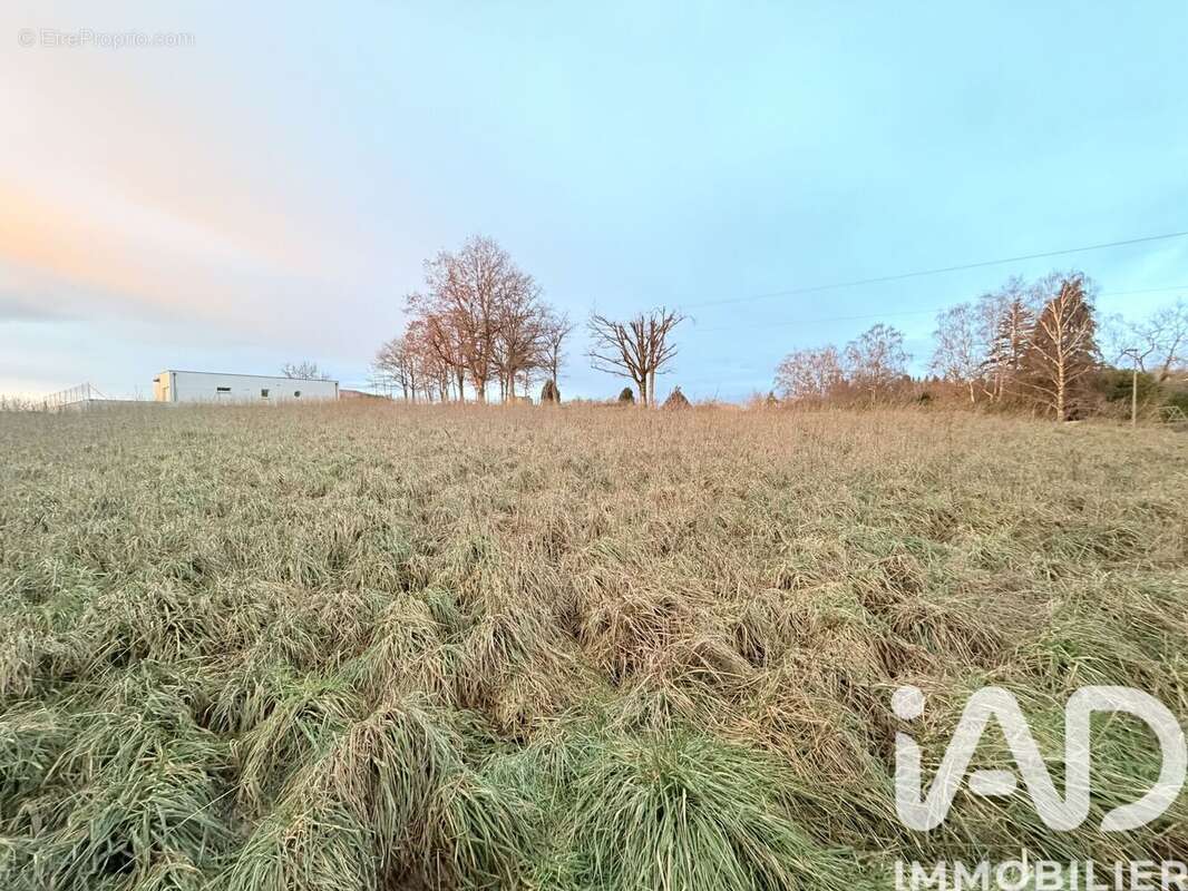 Photo 3 - Terrain à SAINT-GEORGES-DE-MONS