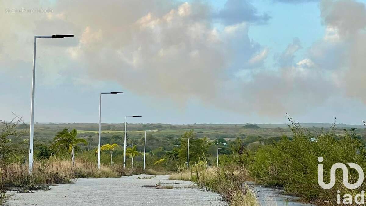 Photo 3 - Terrain à ANSE-BERTRAND