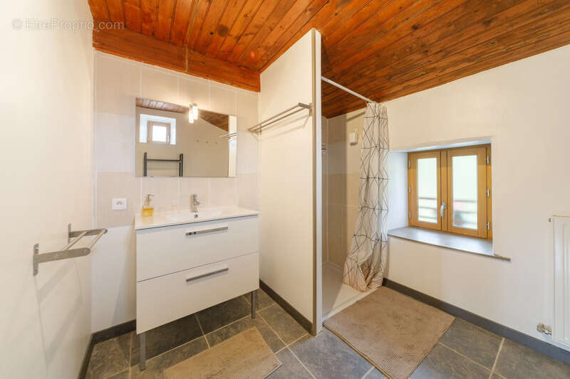  Maison de 310 m² avec gîte – 5 588 m² de terrain – Fraîcheur naturelle et revenus locatifs – Grandrif (63) - photo 12