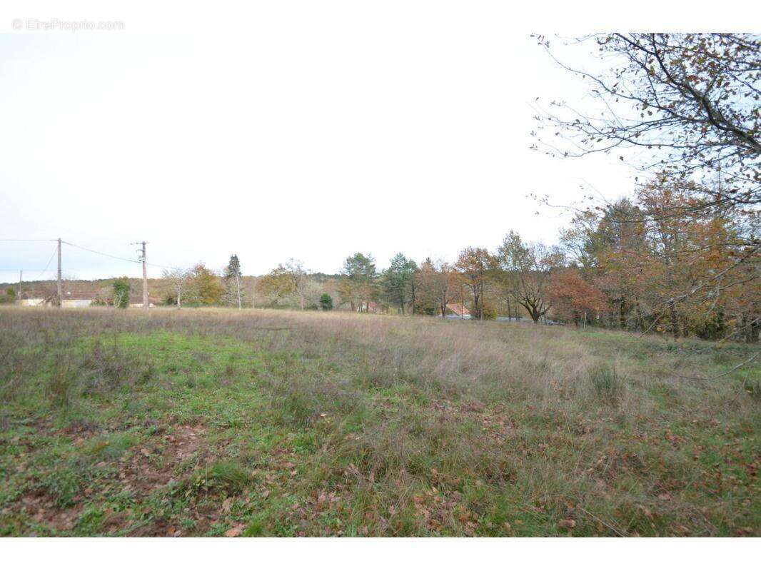 Terrain à SAINT-JEAN-D&#039;ATAUX