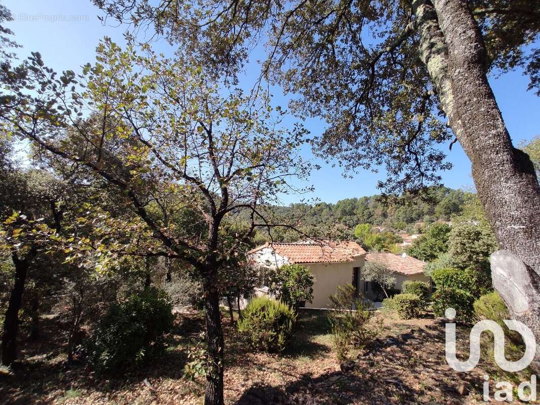 Photo 2 - Maison à SAINT-JEAN-DU-PIN