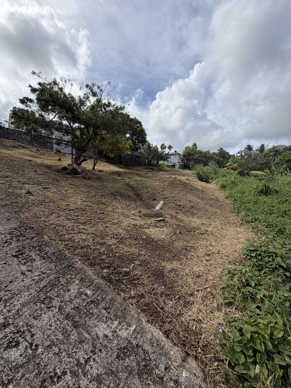 Terrain à RIVIERE-PILOTE