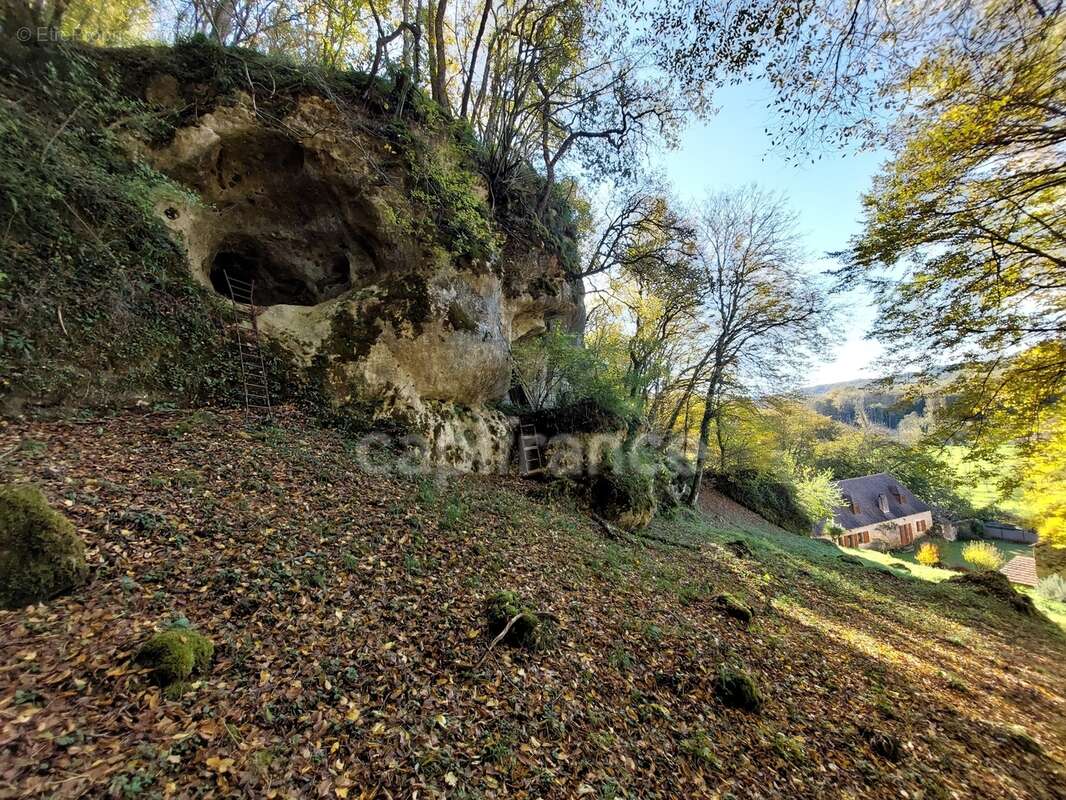 A vendre. Ensemble de 250m² à Tursac (24) avec maison d'habitation, gîte, piscine lagon sur près de 1,5 hectares de terrain en p - photo 27