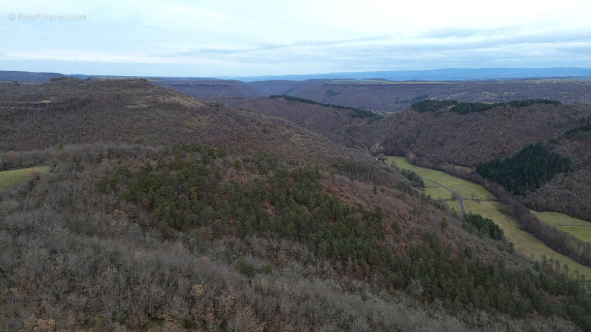 Terrain à AURIAC-L'EGLISE