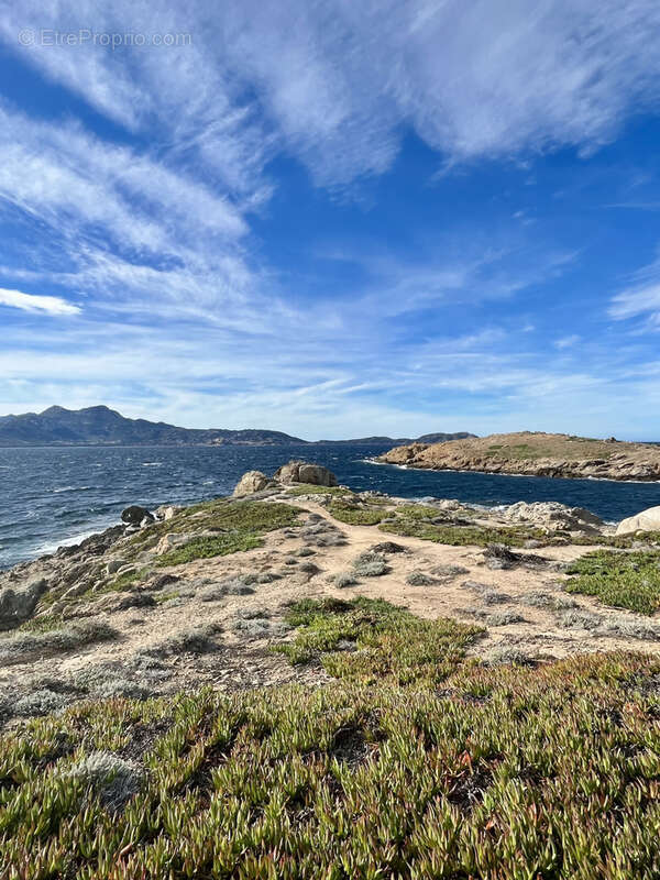 Propriété 4 logements à 1 km des plages - proche de la Réserve Naturelle de Spanu - photo 14