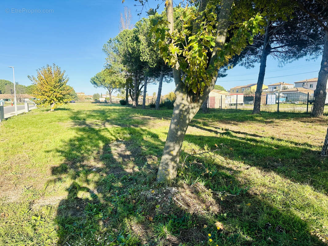 Terrain à AIGUES-MORTES