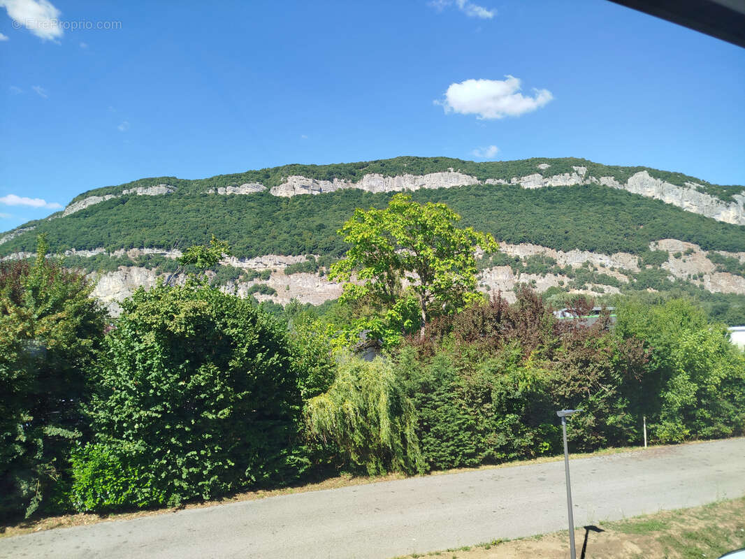 Bureaux à vendre - Sillingy/Annecy - photo 4
