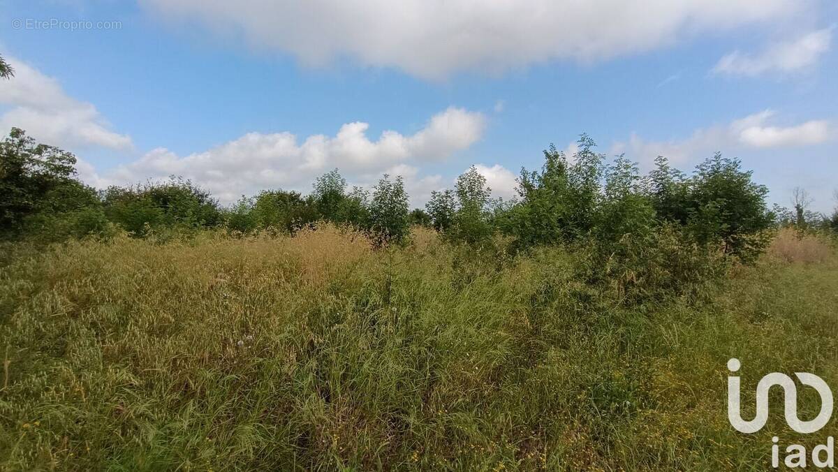 Photo 1 - Terrain à CLAIRA