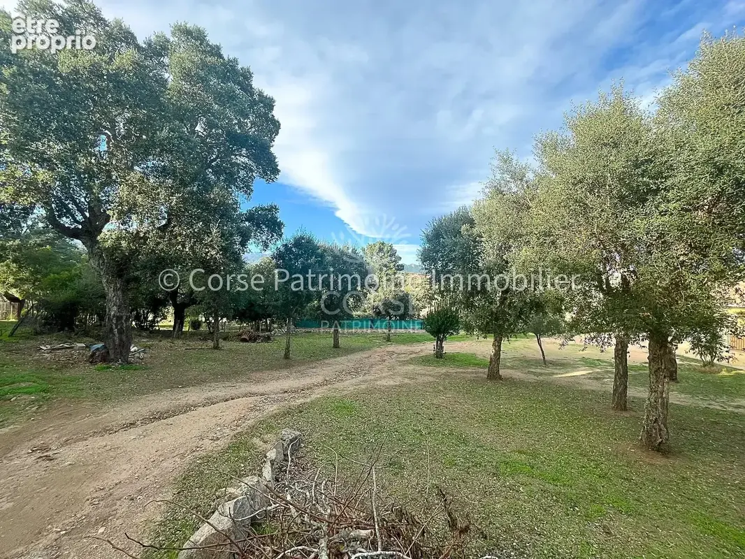 Terrain de 1020 M2 plage à pied - photo 9