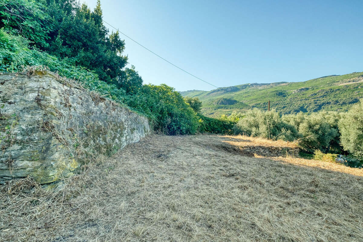 Terrain à BRANDO