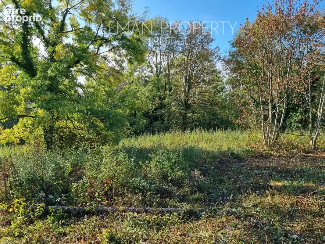 Terrain constructible centre Janvry - photo 3