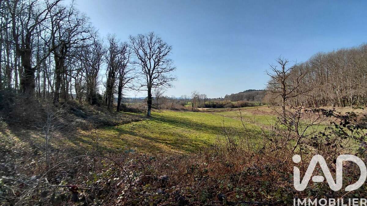 Photo 6 - Terrain à SAINT-PRIEST-LA-FEUILLE