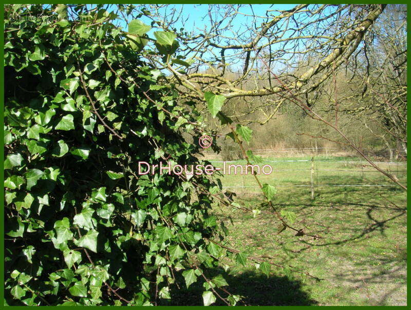 Terrain à CLERMONT-EN-ARGONNE