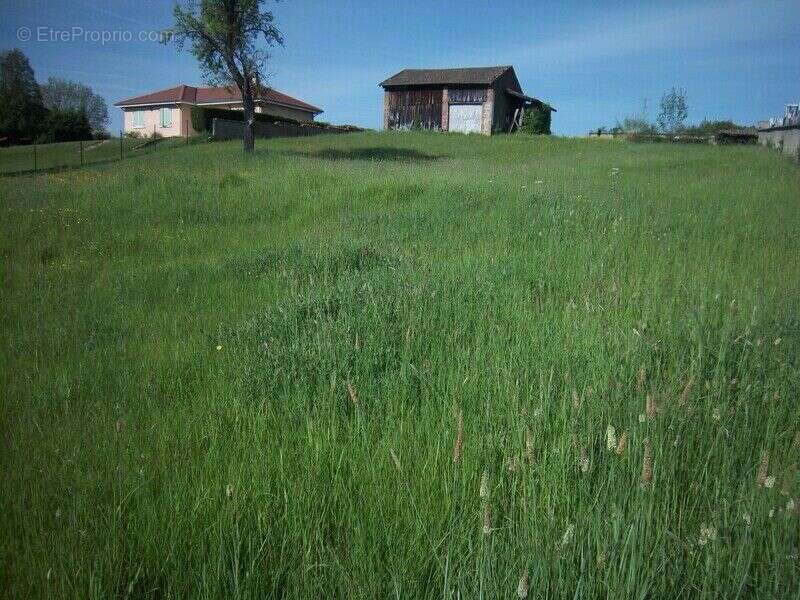 Photo 3 - Terrain à SAINT-DIER-D&#039;AUVERGNE