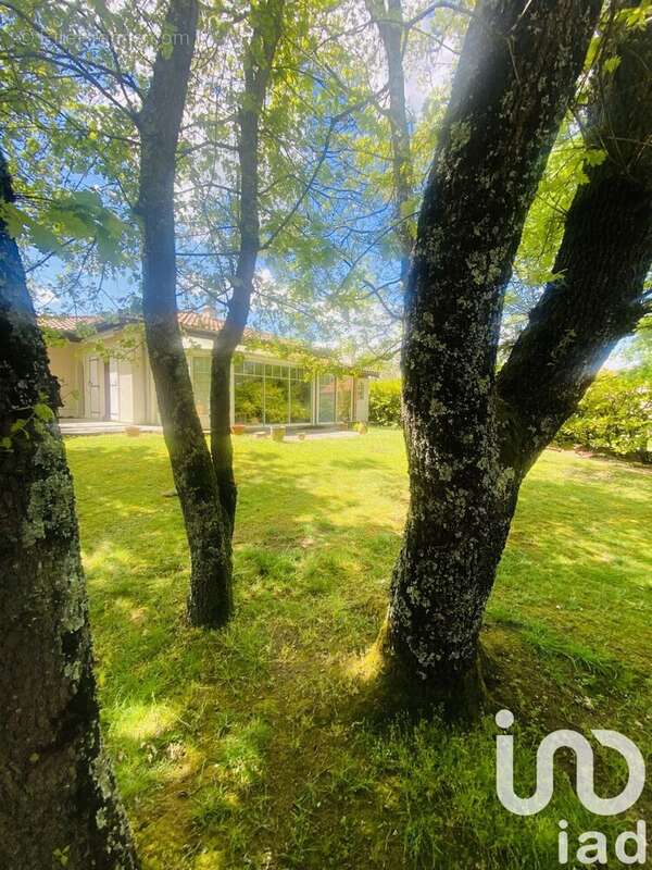 Photo 6 - Maison à ARTIGUES-PRES-BORDEAUX