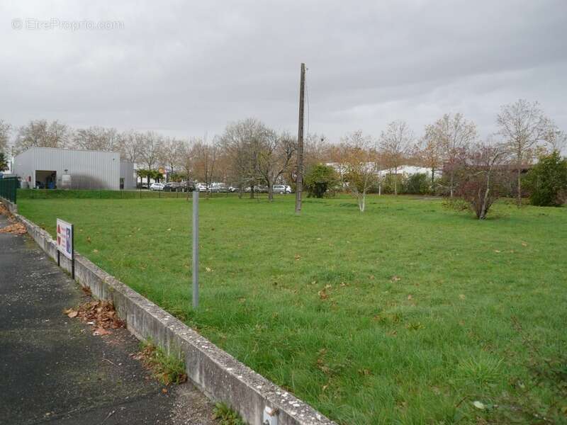 Terrain à CHATEAUBERNARD