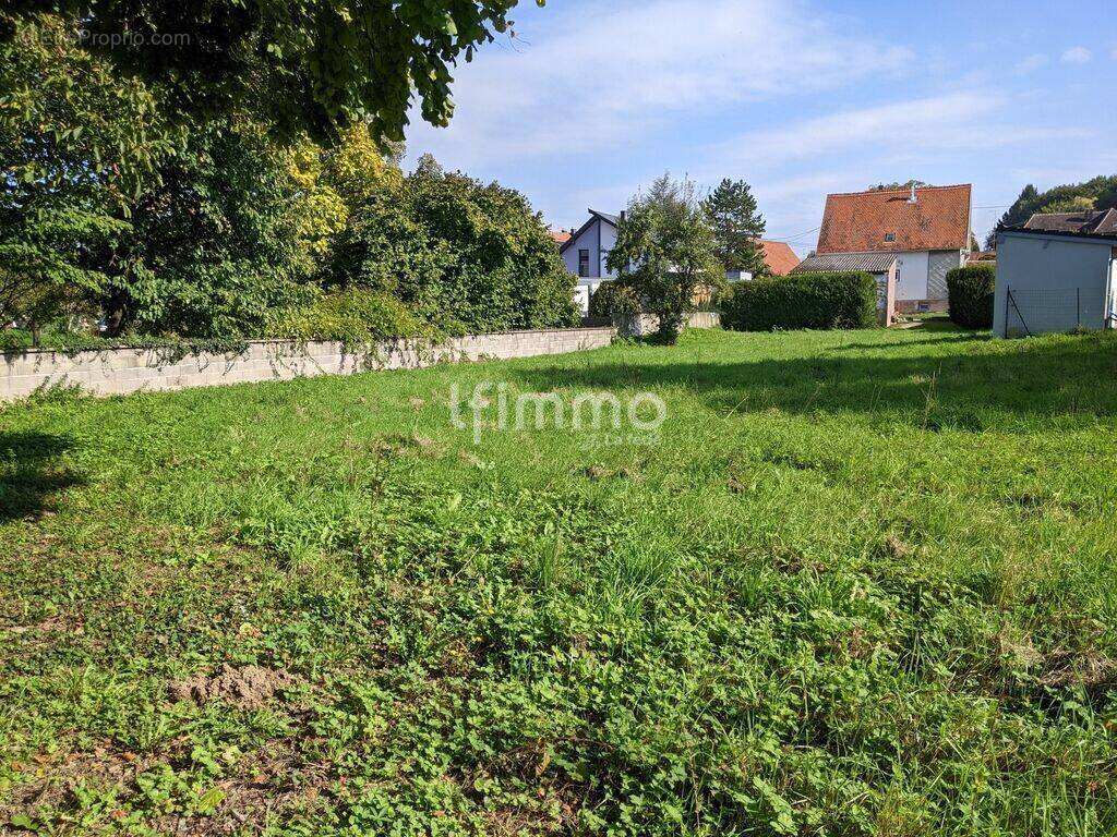 Terrain à SOULTZ-SOUS-FORETS