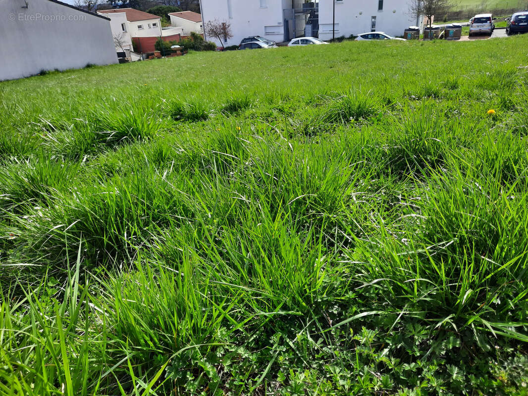 Terrain à FOULAYRONNES