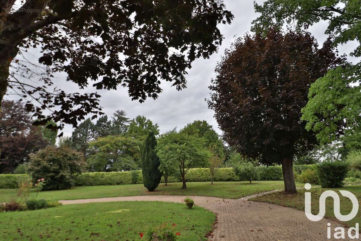 Photo 6 - Maison à SAINT-DYE-SUR-LOIRE
