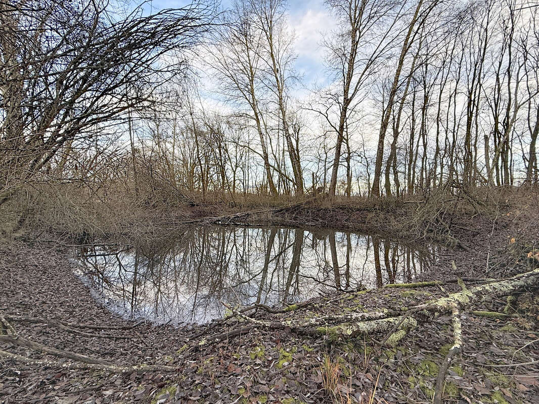 Terrain à COURTERANGES