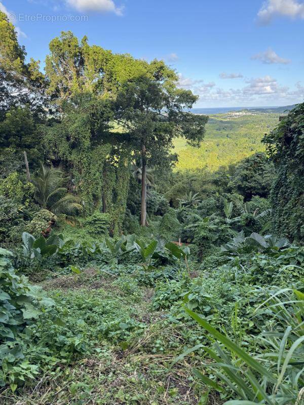 Terrain à LE FRANCOIS
