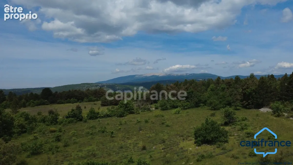 Grande propriété avec Piscine Naturelle - Élégance provençale entre Mont Ventoux et Luberon en EXCLUSIVITÉ - photo 33