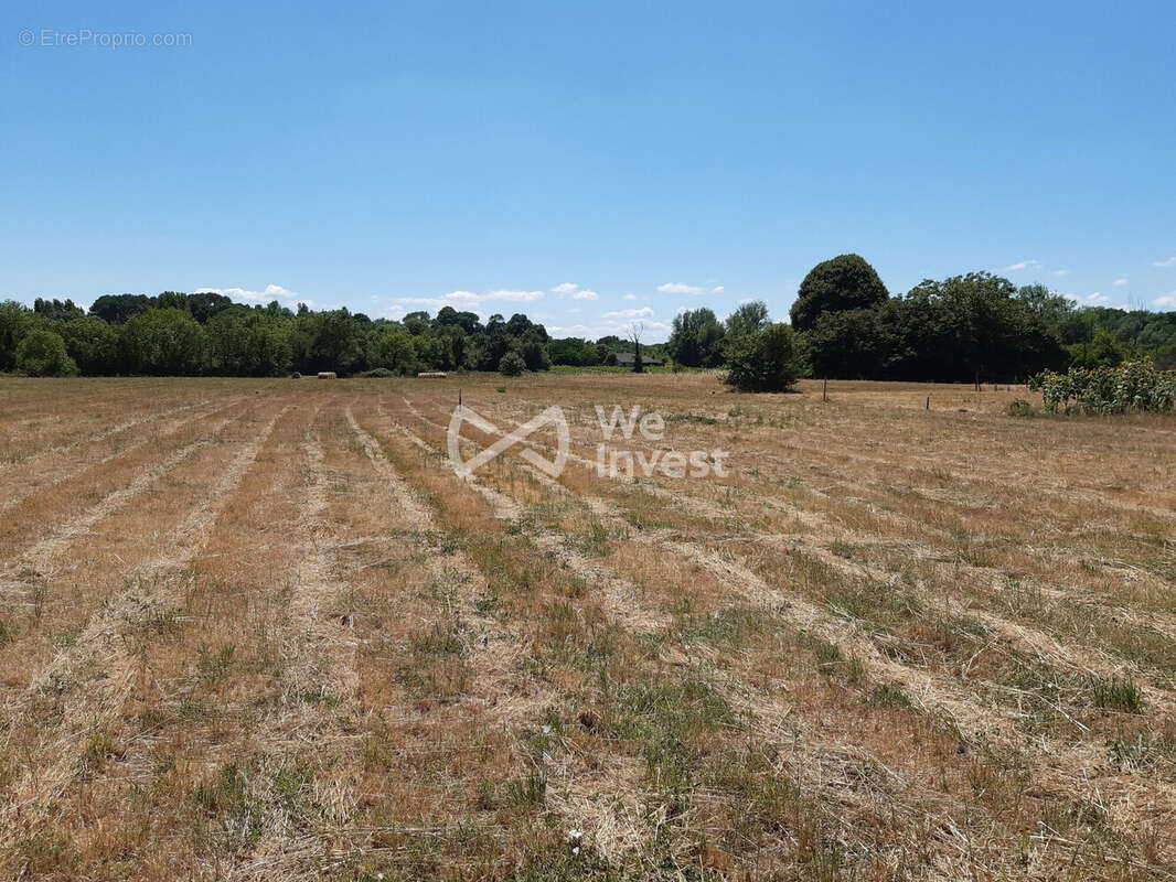 Terrain 1200 m² à Berson  - photo 2