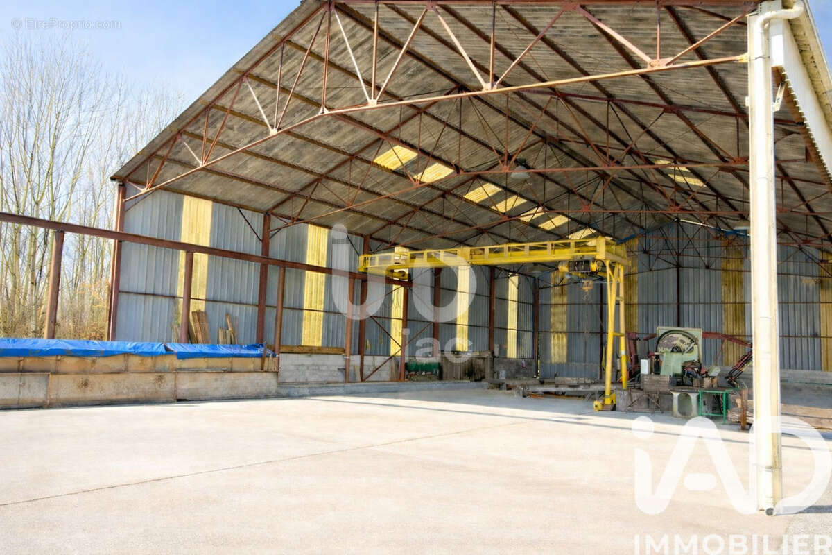 Photo 6 - Terrain à LAFRANCAISE