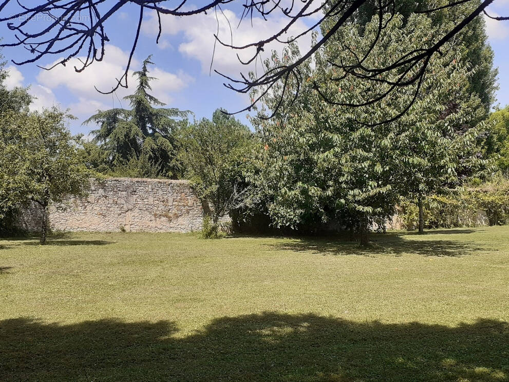 Terrain à SAINT-ROMAIN-DE-BENET