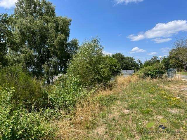 Terrain 931 m² à Treignac  - photo 10