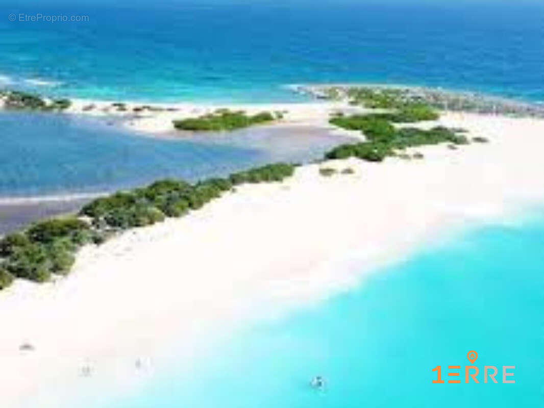 Autre à SAINT-MARTIN