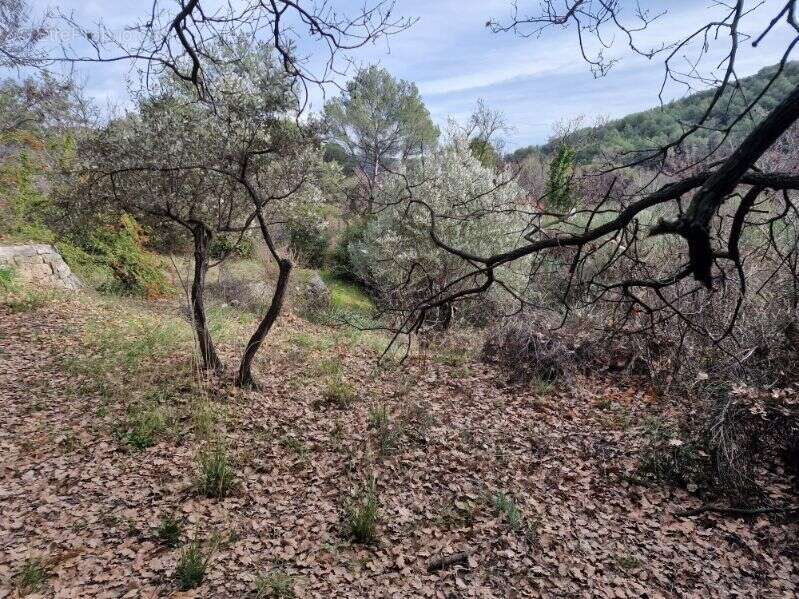 Terrain à DRAGUIGNAN