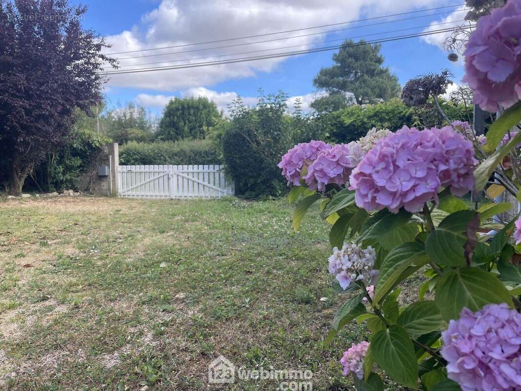 Jardin arboré. - Maison à SAINT-VINCENT-SUR-JARD