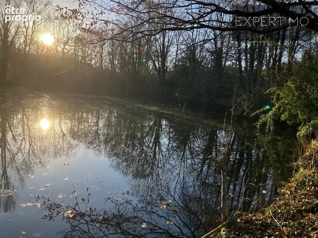 Terre-clapier (tarn)  à 12 min d'albi  moulin historique  gîtes  lac  piscine couverte  potentiel touri - photo 33
