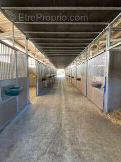 Appartement à SURZUR