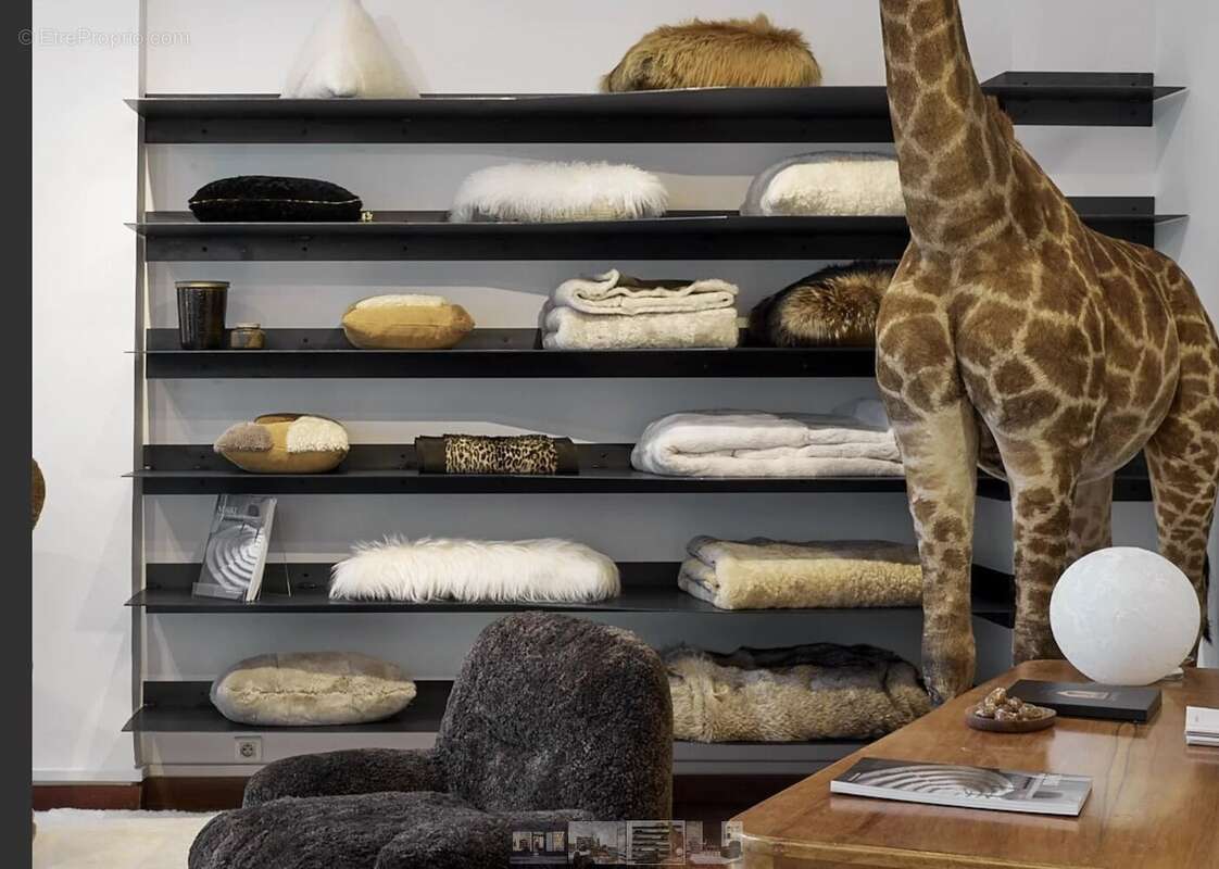 Commerce à PARIS-6E