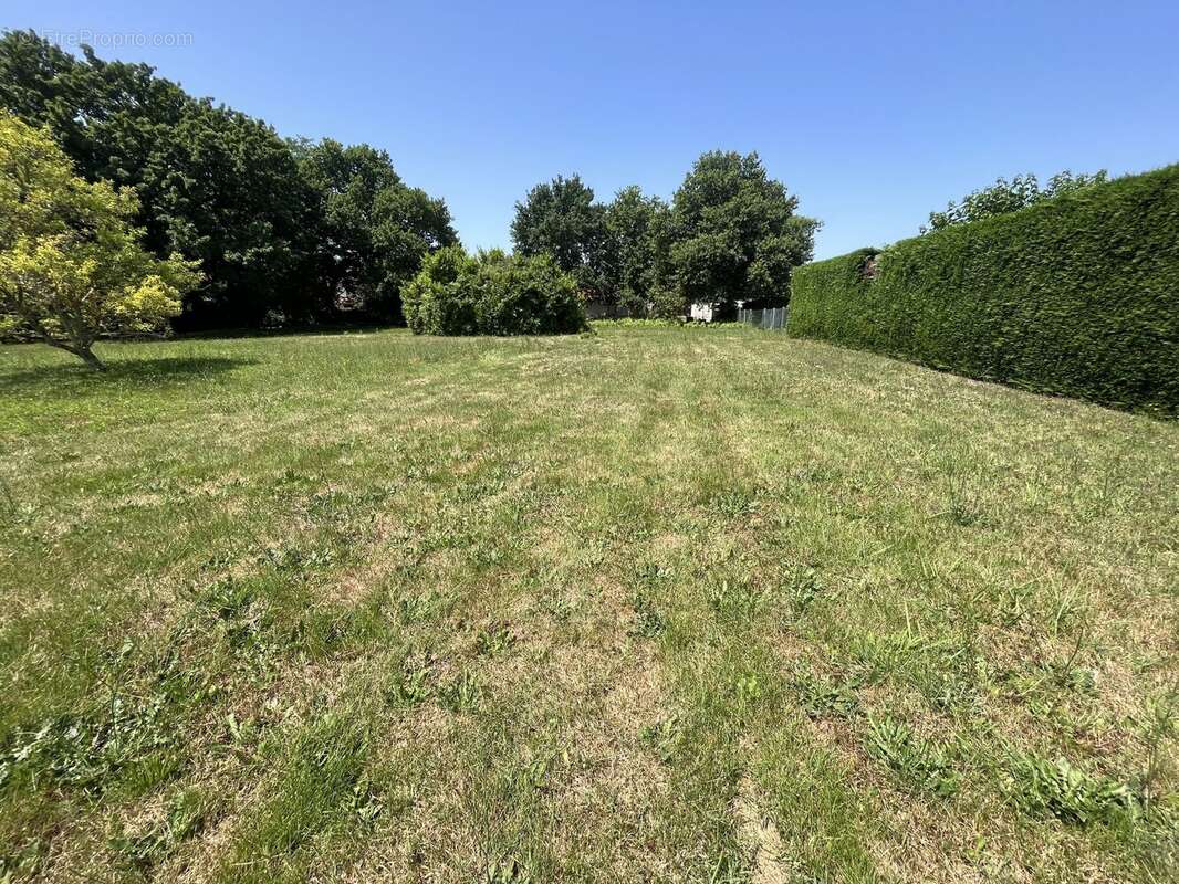 Terrain à BISCARROSSE