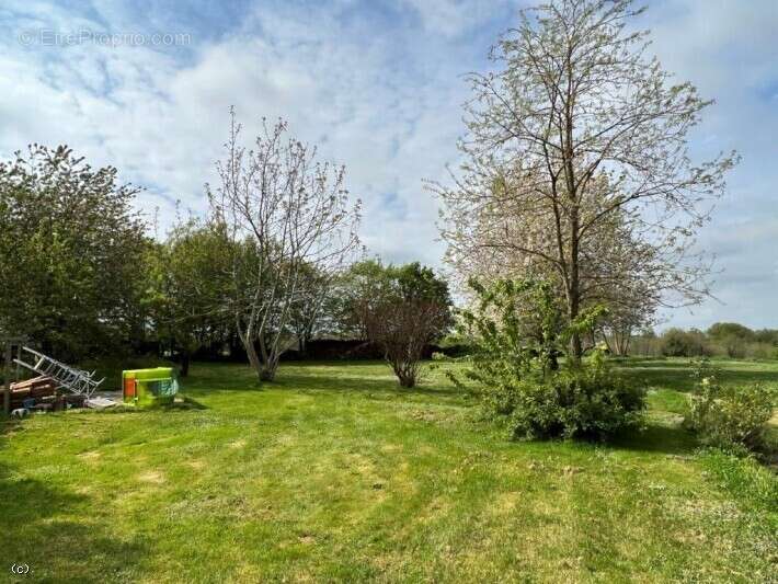 Maison à NANTEUIL-EN-VALLEE