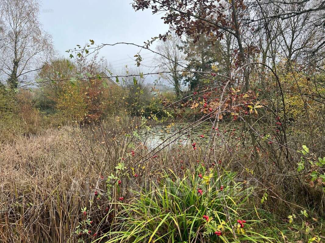 Terrain à CHAMPFLEUR