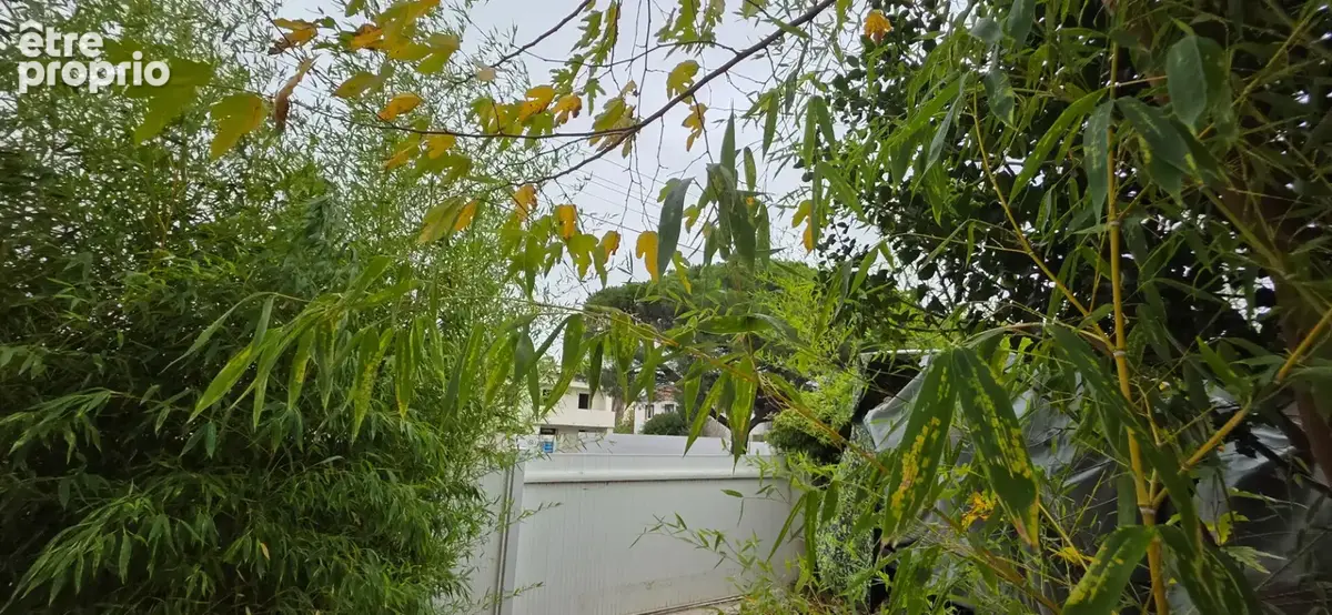Agde  rare maison  dpe classé a (environ 200m² ) sur 492m² de terrain .quartier calme - photo 11