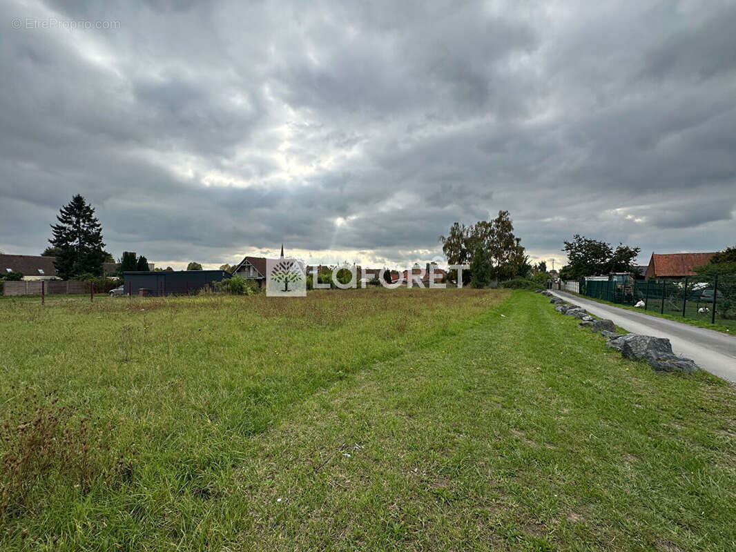 Terrain à LALLAING